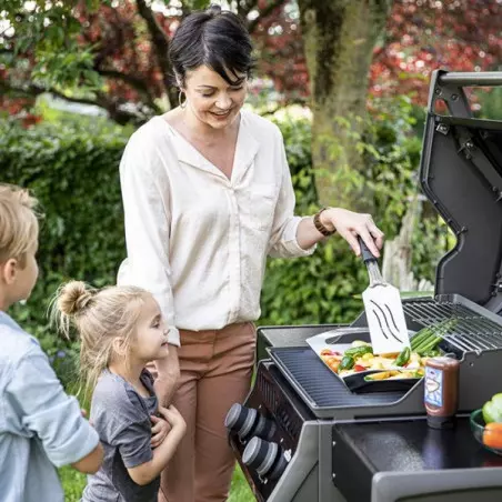 Barbecue Gaz Rogue 365 R 2 Brûleurs - NAPOLEON 5 Barbecue Gaz Rogue 365 R 2 Brûleurs - NAPOLEON – Image 3